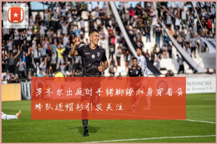 罗齐尔出庭时手铐脚镣加身穿着黄蜂队连帽衫引发关注