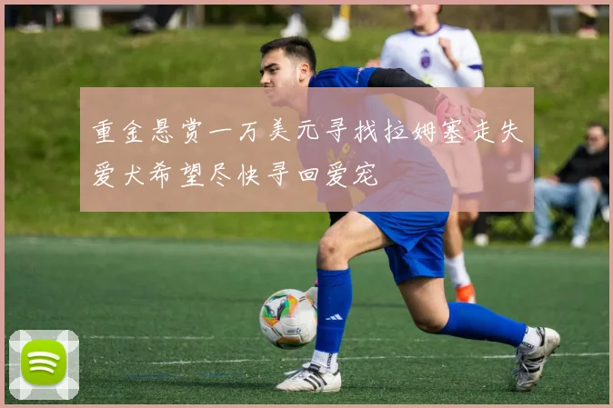 重金悬赏一万美元寻找拉姆塞走失爱犬希望尽快寻回爱宠